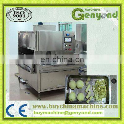 Dried Mango Processing Plant photo-2