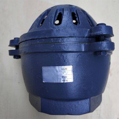 High Quality BS Standard DN150mm Cast Iron PN16 Thread Foot Valve Use for Water Pump photo-2
