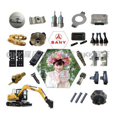 Jual Part SANY Excavator Asli Hydraulic Pump, Engine, Filter & Undercarriage Spare Parts OEM Supplier photo-5