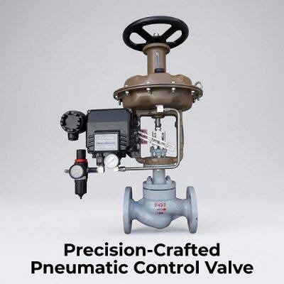 JIS Pneumatic Valve with Dual Flow Control for Packaging & Conveyor Systems