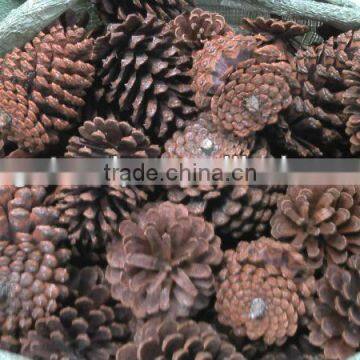 Christmas Tree Decoration Pine cone