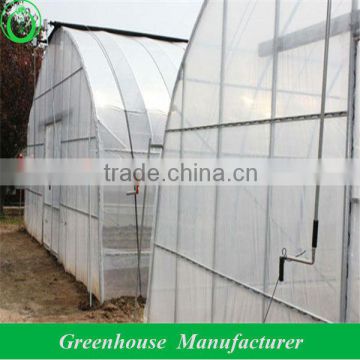 Competitive price single tunnel greenhouse