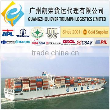 Sea Freight from China to Gdynia FCL/LCL Shipment