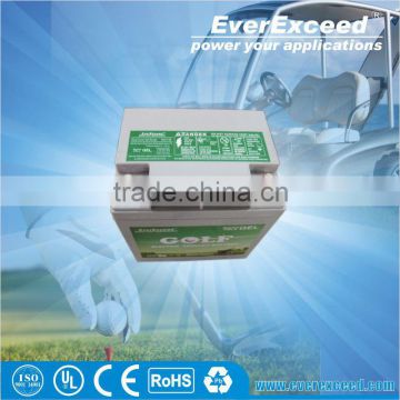 EverExceed Wholesale Valve Regulated lead acid battery , golf battery