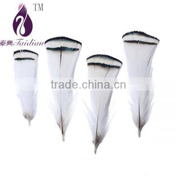 pheasant tail feathers white for wedding/clothing/hat