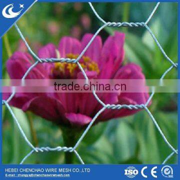 High quality galvanized hexagonal wire netting mesh with best price