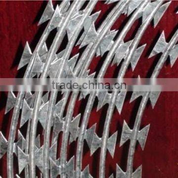 Low Price Concertina Galvanized Steel Concertina Razor Wire(Factory)