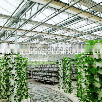 Vegetable-growing Greenhouse-commercial greenhouses