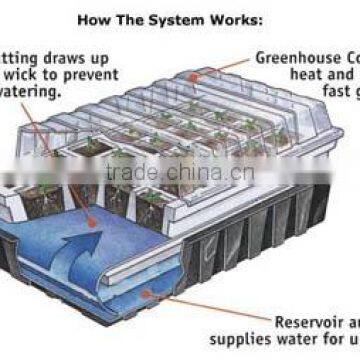 Seed tray dome