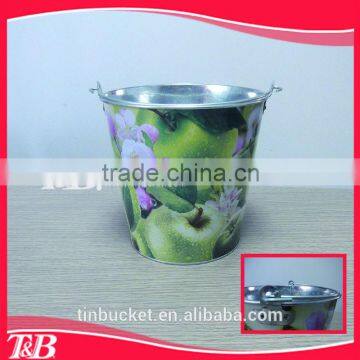 small metal bucket ,metal hanging flower bucket