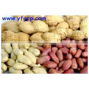 peanut importer in singapore