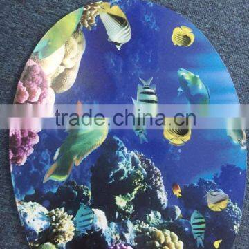 Wide Format Digitial Photo Frame Machine NC-SPT2513 Made in China photo-6