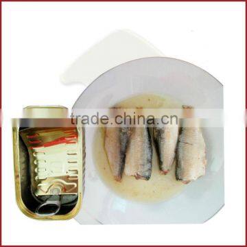 moroccan sardine in oil 125gX50tins