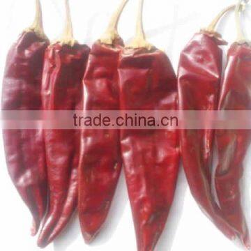 American Red Chili photo-2