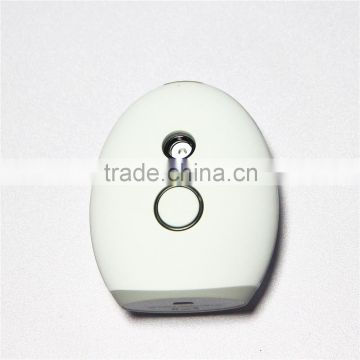 wholesale factory price hot steam for face Korea