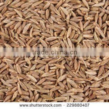 CUMIN SEED MACHIN CLEAN photo-4