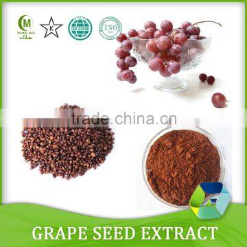 Natural 95% OPC Grape Seed Extract powder for antioxidant