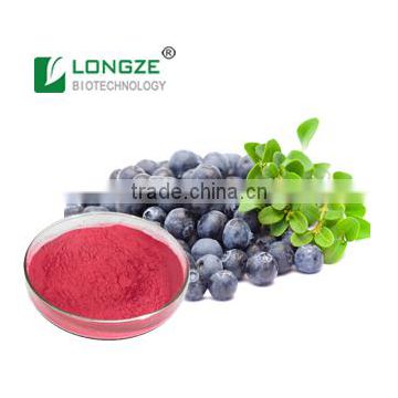 Blueberry/Bilberry Fruit Extract with Anthocyanidin 25% blueberry spray-dreid fruit powder