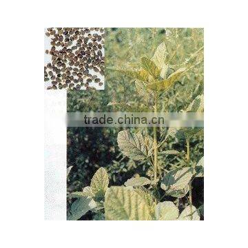 Fructus Psoraleae extract