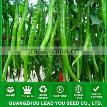 NP09 Lvse green hot pepper seeds manufactory