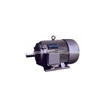 Three-Phase Squirrel-Cage Induction Motor (Y or C Series)