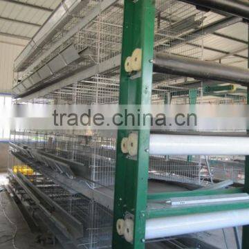 New Design Automatoc Quail Cage
