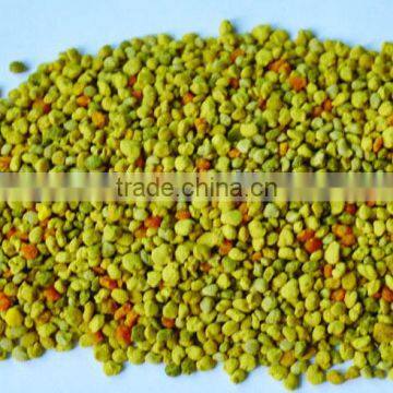 Bee Pollen Granular flower pollen tea pollen with best price