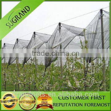 Anti Bird Netting/Fruit Net