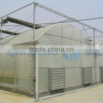 Greenhouse Covering Film