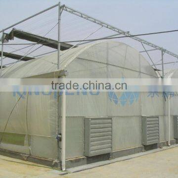 Plastic Film Greenhouse For Agriculture Use photo-2