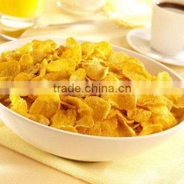 Cheap Hot Sale Promotion Automatic Nestle Corn Flakes Machine photo-4