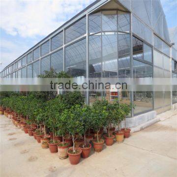 The Cheapest Hot Sale and Easily Installed Commercial Greenhouse photo-3