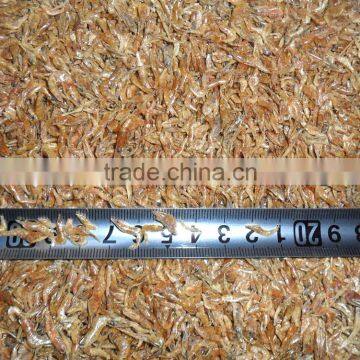 Pet food dried shrimp for sale