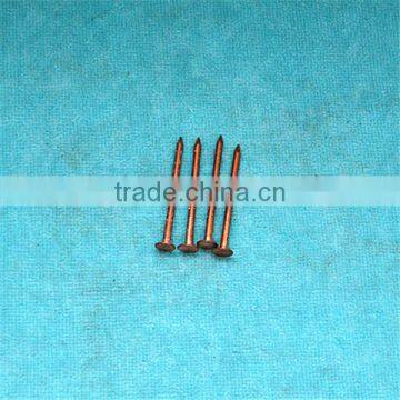 Concrete Brass Nail photo-6