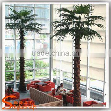 Best Quality Hight Artificial Outdoor Large Palm Tree for Sale photo-6