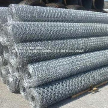 Hexagonal wire mesh