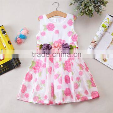 Sweet Style New Design Full Flower Printing Baby Girl Long One Piece Dress photo-2