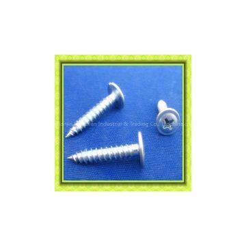 carton steel wafer head m 19 self tapping screw