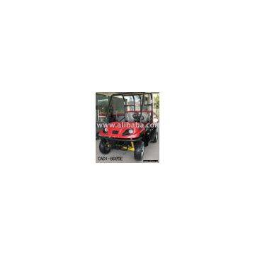 Electric Utility Vehicle