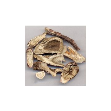 Andrographis Paniculata Extract