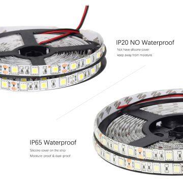 DC12V LED Strip 5050 60LEDs /m 5M IP20 IP65 LED Flexible Strip Light 5050 SMF + DC12V Adapter White / Warm White photo-3