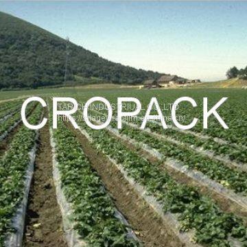 MULCH FILM - CROPACK 40