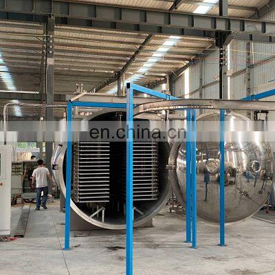 Vacuum Food Lyophilizer Price Pharmaceutical Lyophilizer Freeze Dryer Lyophilizer photo-4
