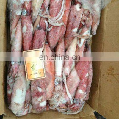 wholesale squid loligo seafood loligo