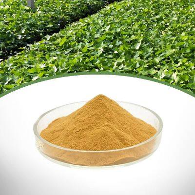 Экстракт листьев плюща