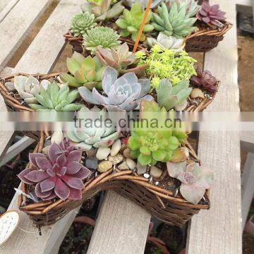 American Country Style Wicker Flower Basket for Sale