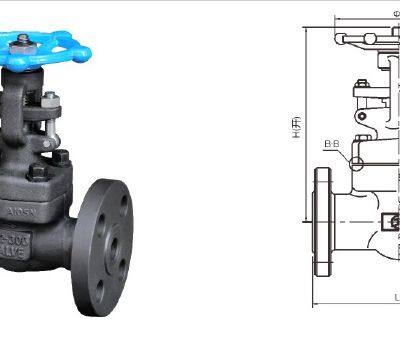 API Self Sealing Globe Valve J61H photo-5