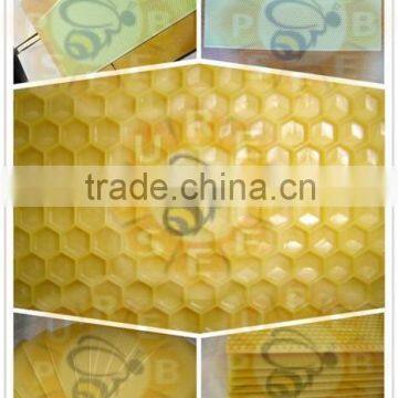 Purebees apis mellifera beeswax plastic foundation sheet