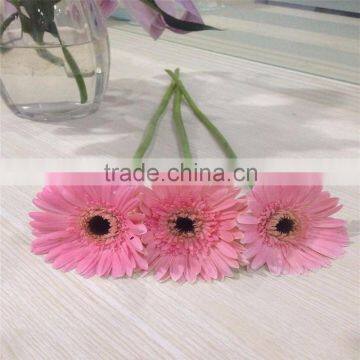 Hot Sales Perfume and Fresh Gerbera Cut Flowers