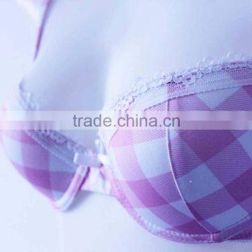 Manufacture Professional Underwear OEM Elegant Ladies Bra photo-2